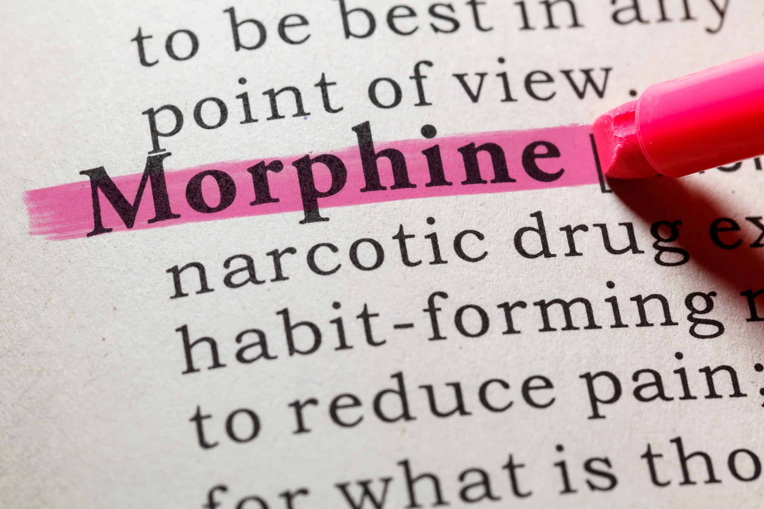 dictionary definition of morphine highlighted in pink