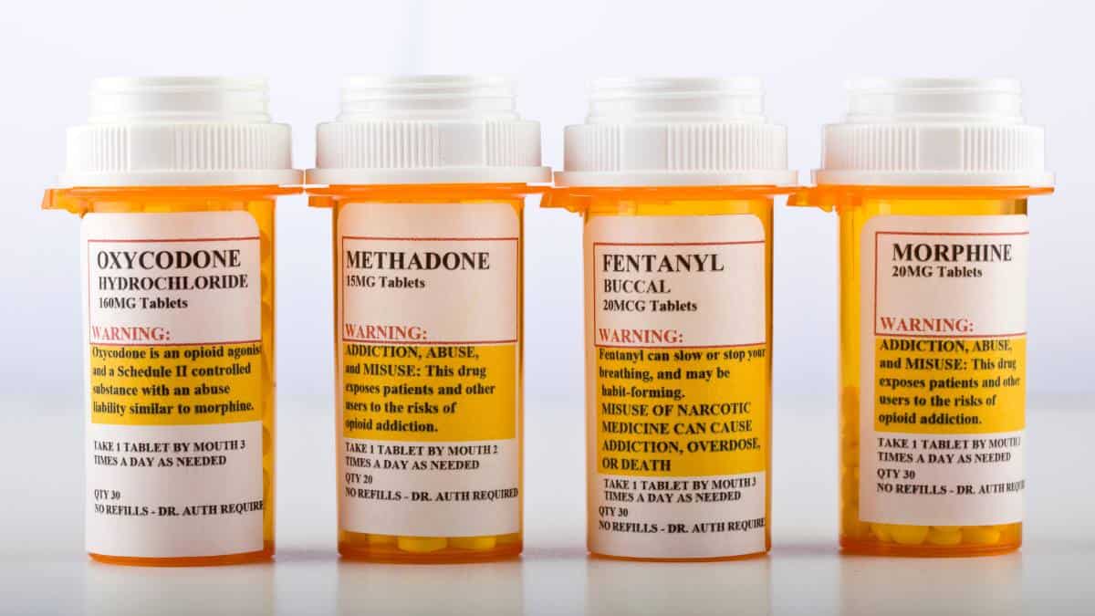 Bottles of different types of opioids. 