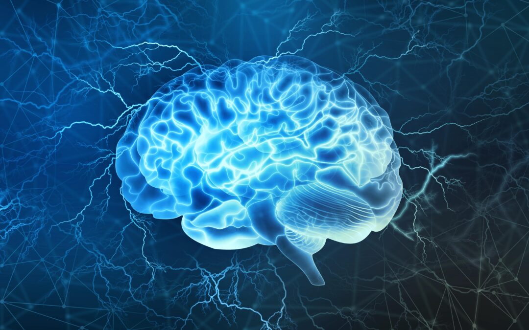 picture of a brain outlined in blue on a black background